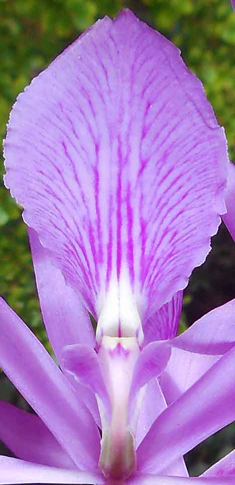 Austin Fine Art Gallery