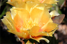 Austin Art Wall Prints For Sale