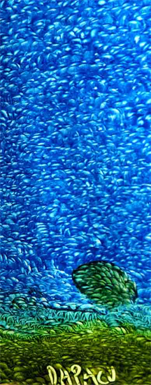 Austin Paintings For Sale